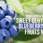 blueberry dried fruit purchase online