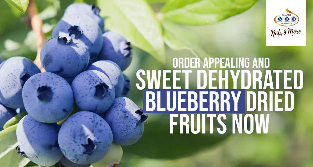 blueberry dried fruit purchase online